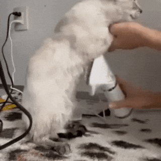 Secador de pelo para mascota, FurBreeze®